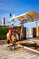 Royal Moroccan Guard in Rabat