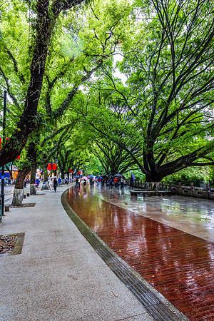 Rainy day in Guilin
