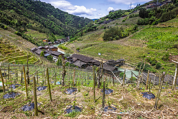 Longji Zhuang Village