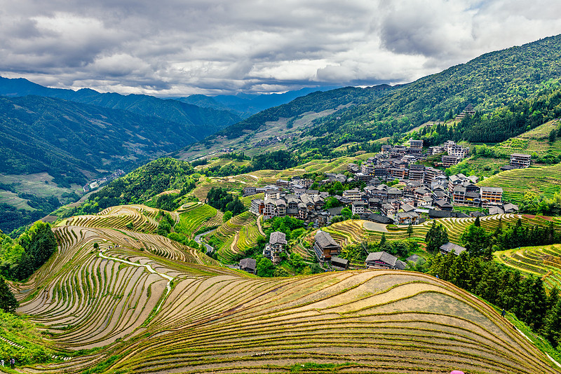 Longji Rice Terraces