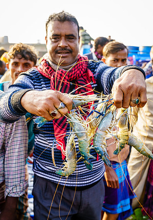 Fish market in Chittagong, Bangladesh