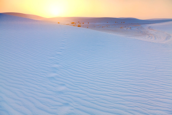 White Sands Footprints
