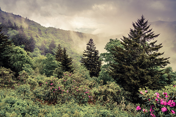 Smokey Ridge