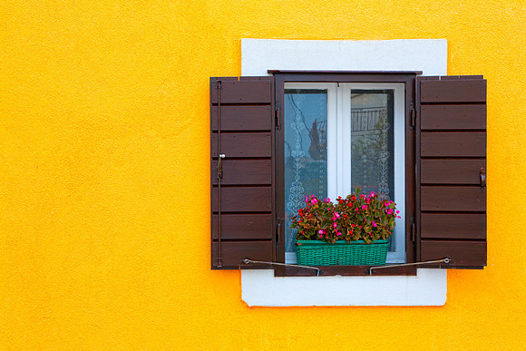 Window