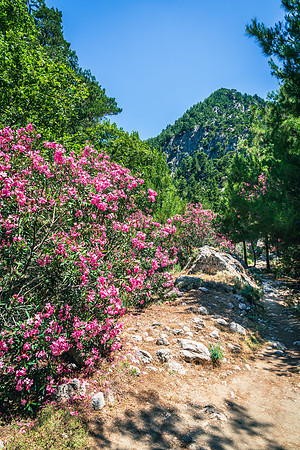 Agia Irini Gorge