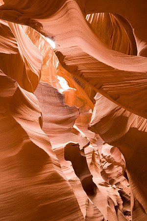 Crevice