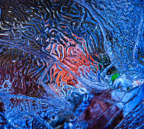 In ice