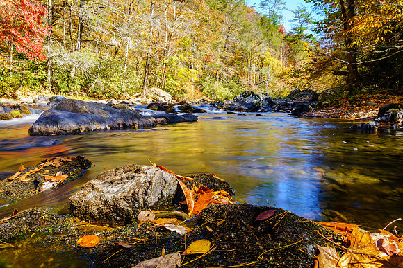Big Laurel Creek
