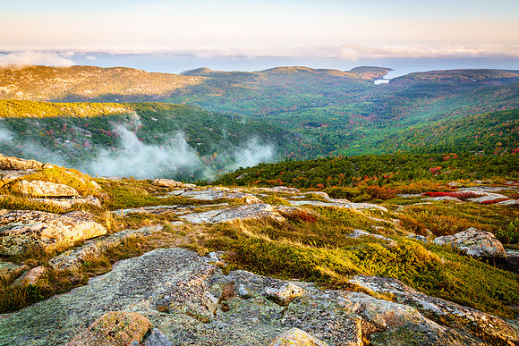 Evening fog in Acadia