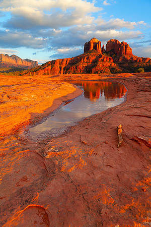 Cathedral Rock Reflection